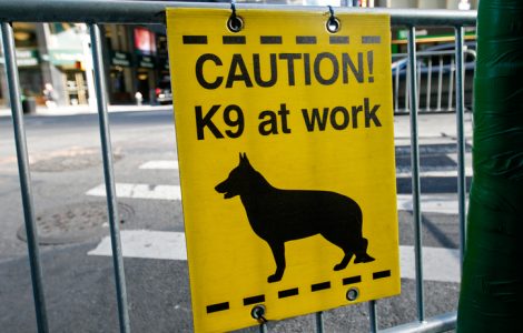 K9 at work sign.